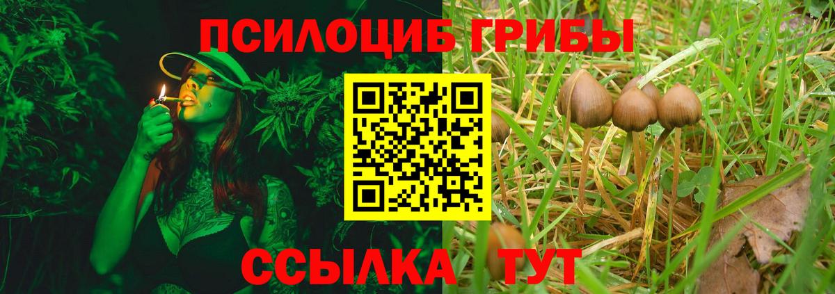 Белореченск  Галлюциногенные грибы прущие грибы  Вход с VPN 