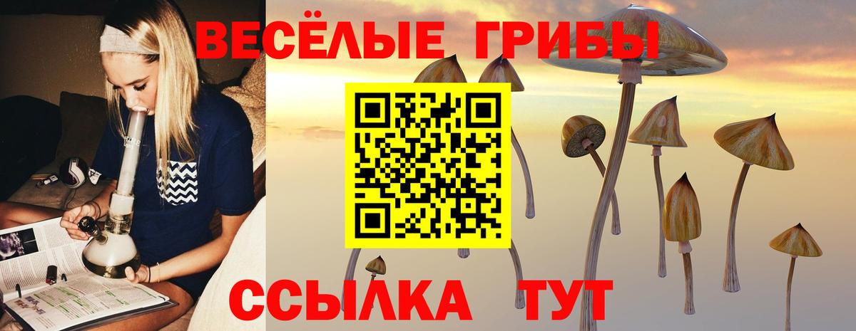 Псилоцибиновые грибы мицелий Белореченск